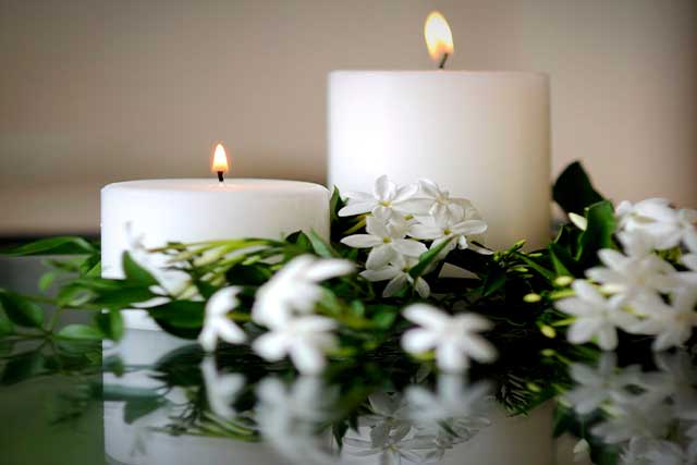jasmine1