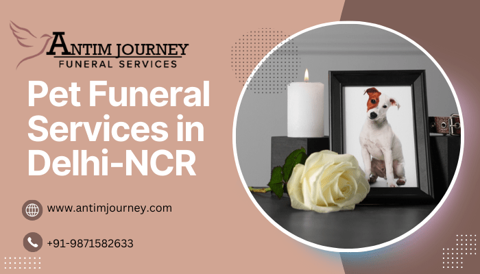 Pet Funeral Services in Delhi-NCR