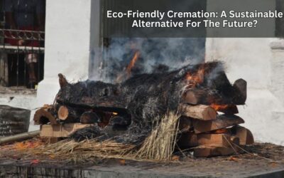 Eco-Friendly Cremation: A Sustainable Alternative For The Future?